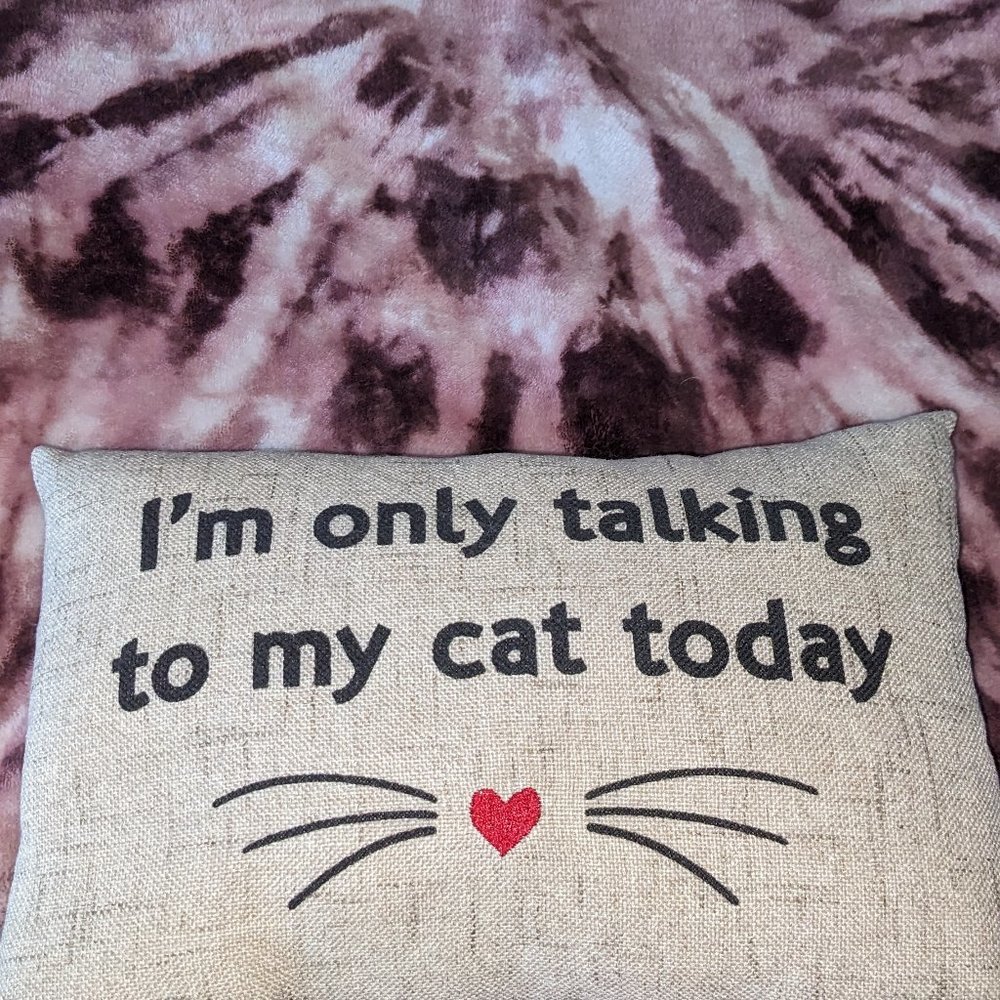 Small decorative accent pillow